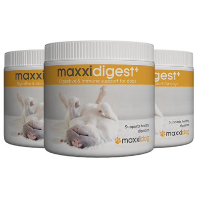 maxxidigest+ digestive and immune support for dogs combines probiotics prebiotics and canine digestive enzymes