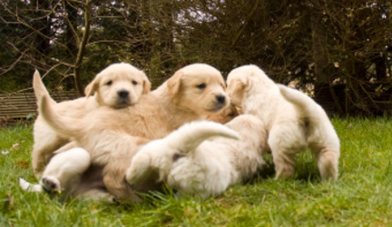 Testimonials thumbnail