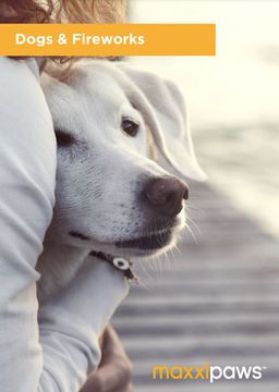 maxxipaws free brochure How Is Best To Deal With Dog's Fear Of Fireworks