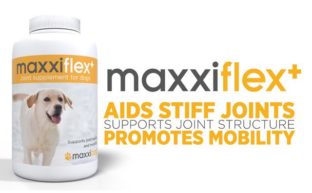maxxiflex+ dog joint supplement aids stiff joints, supports joint structure and promotes mobility maxxiflex+ dog joint supplement aids stiff joints, supports joint structure and promotes mobility