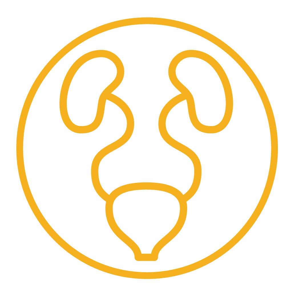 maxxidog tips and advice about canine health