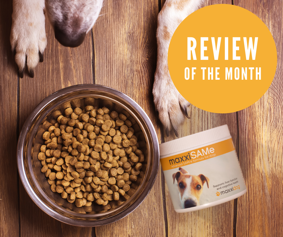 Odoo • Image and Text