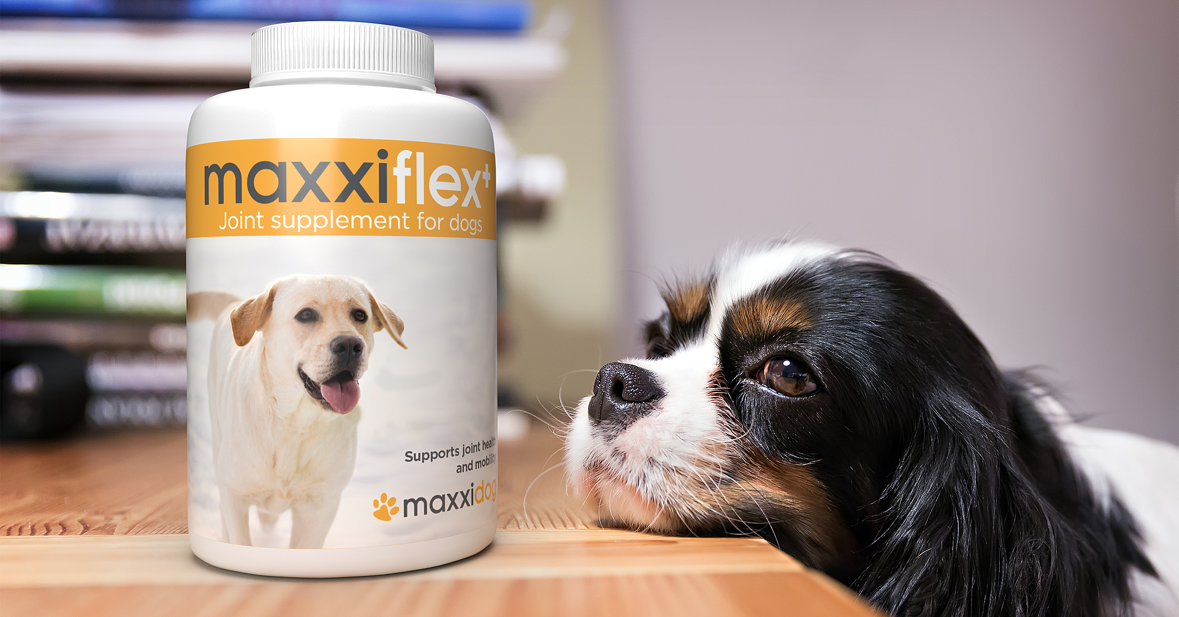 Odoo • Image and Text