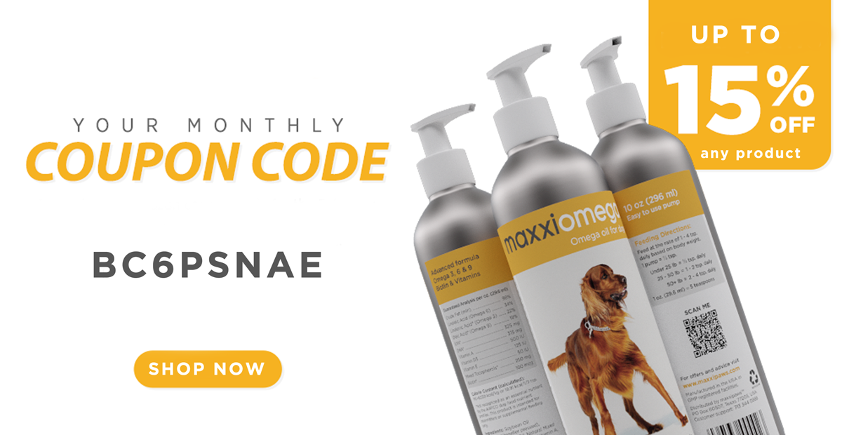 Odoo • Image and Text