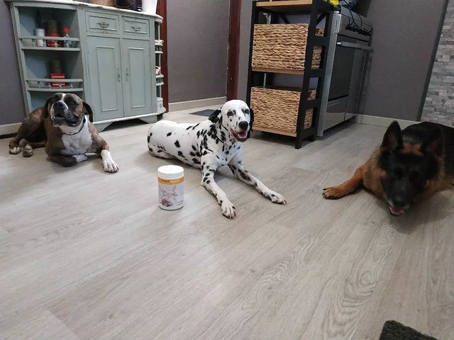 Odoo • Image and Text