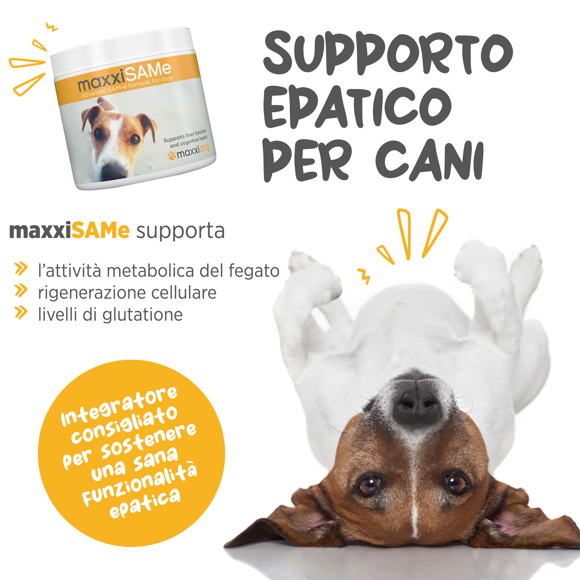 Odoo - Sample 1 for three columns