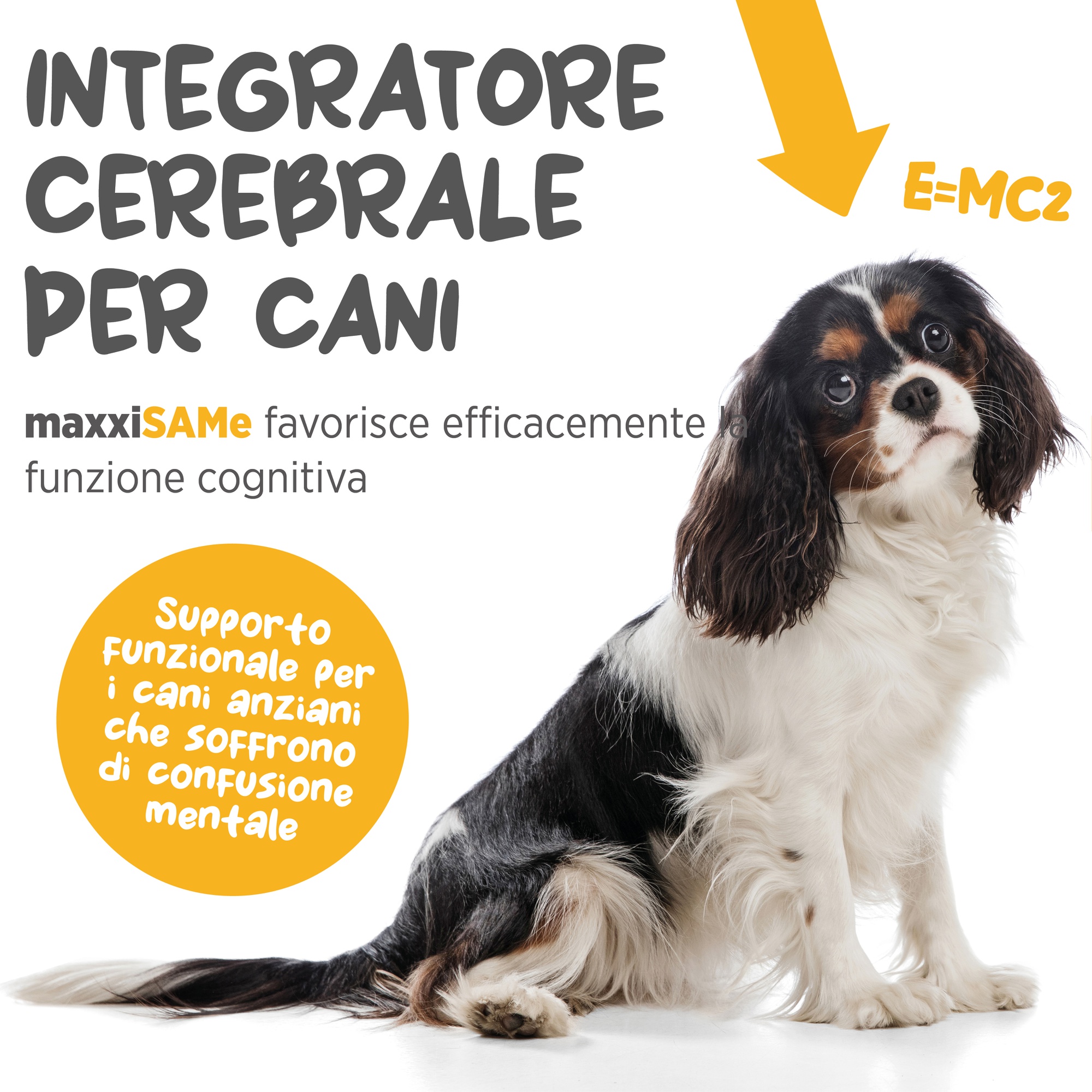 Odoo - Sample 2 for three columns