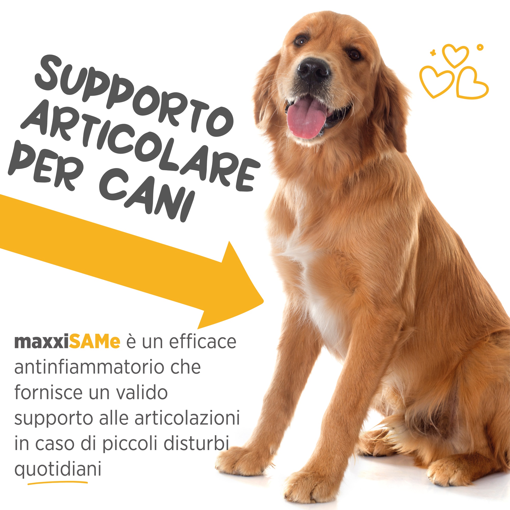 Odoo - Sample 3 for three columns