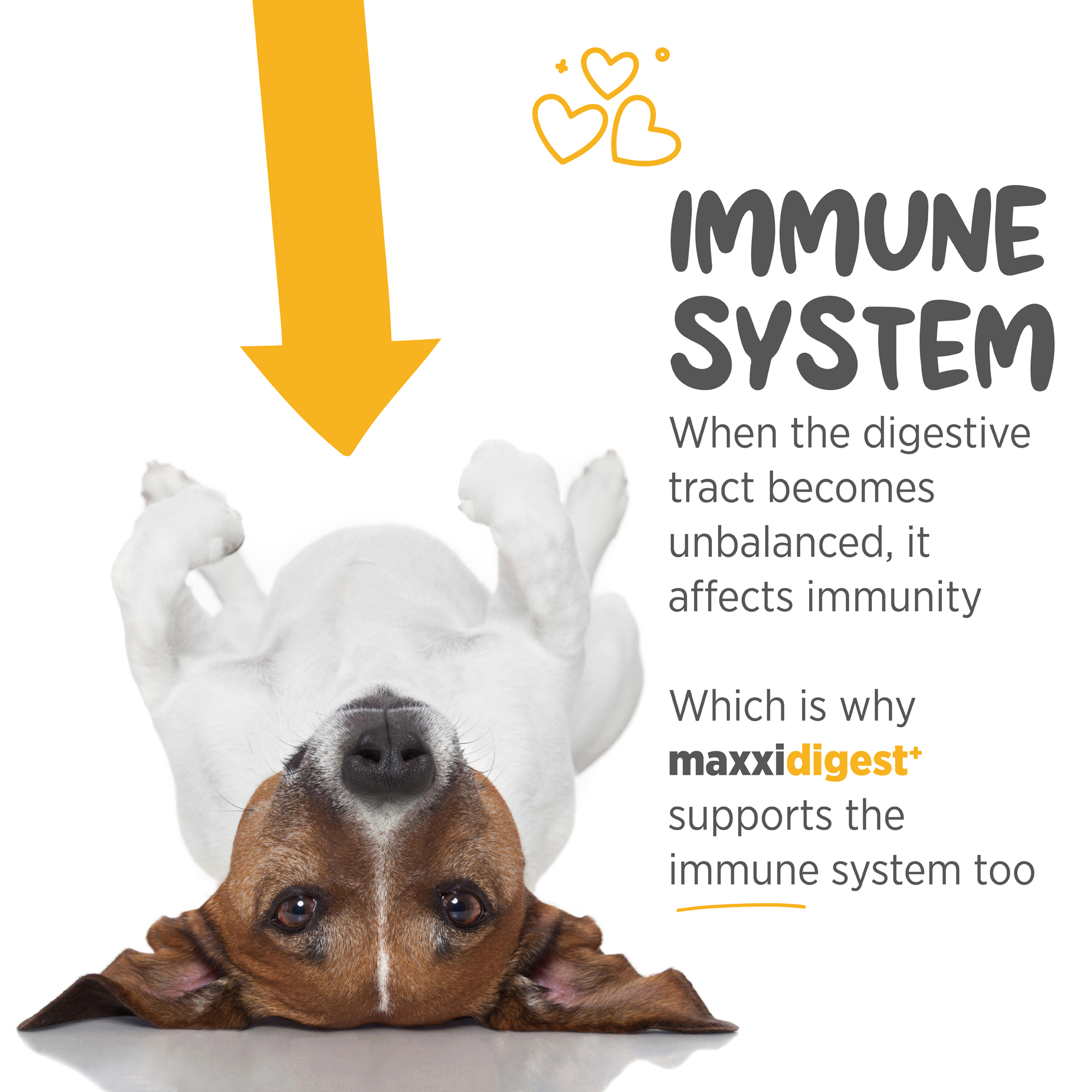 Odoo - Sample 3 for three columns