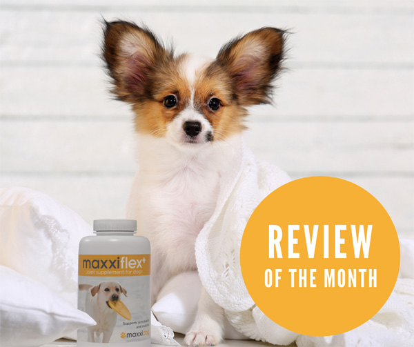 Odoo • Image and Text