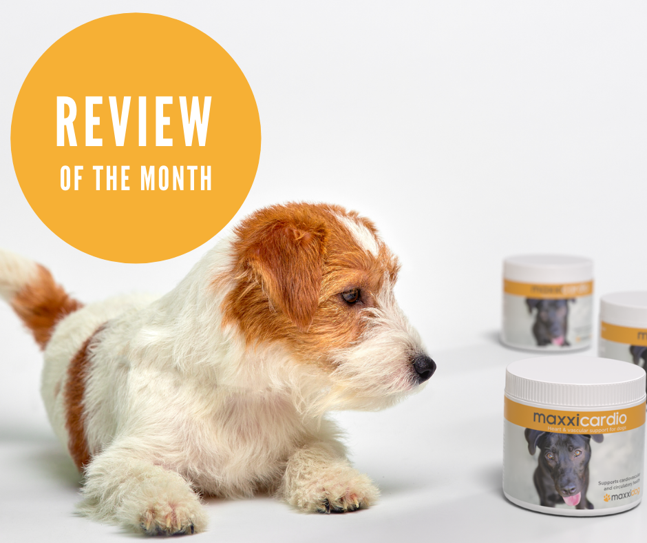 Odoo • Image and Text