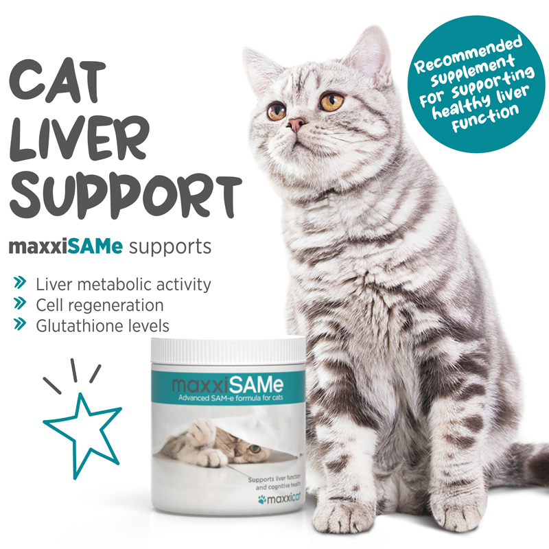 maxxiSAMe liver supplement for cats