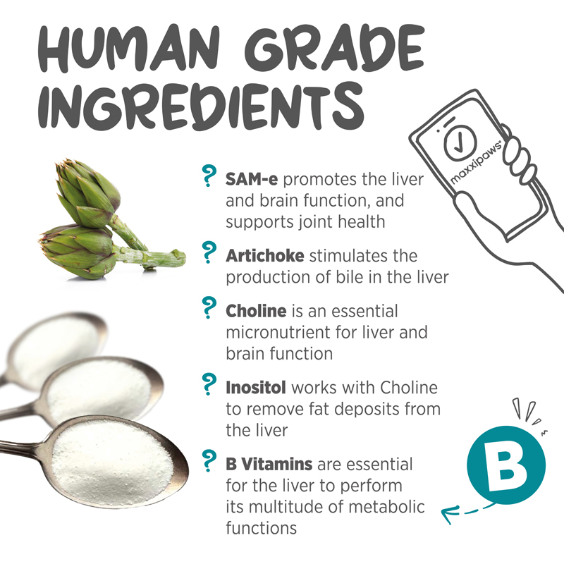 maxxiSAMe advanced SAM-e supplement for cats