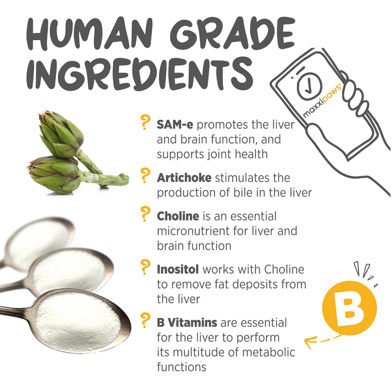 maxxiSAMe not just SAM-e
