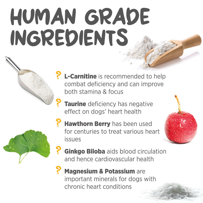 Heart and vascular support for dogs