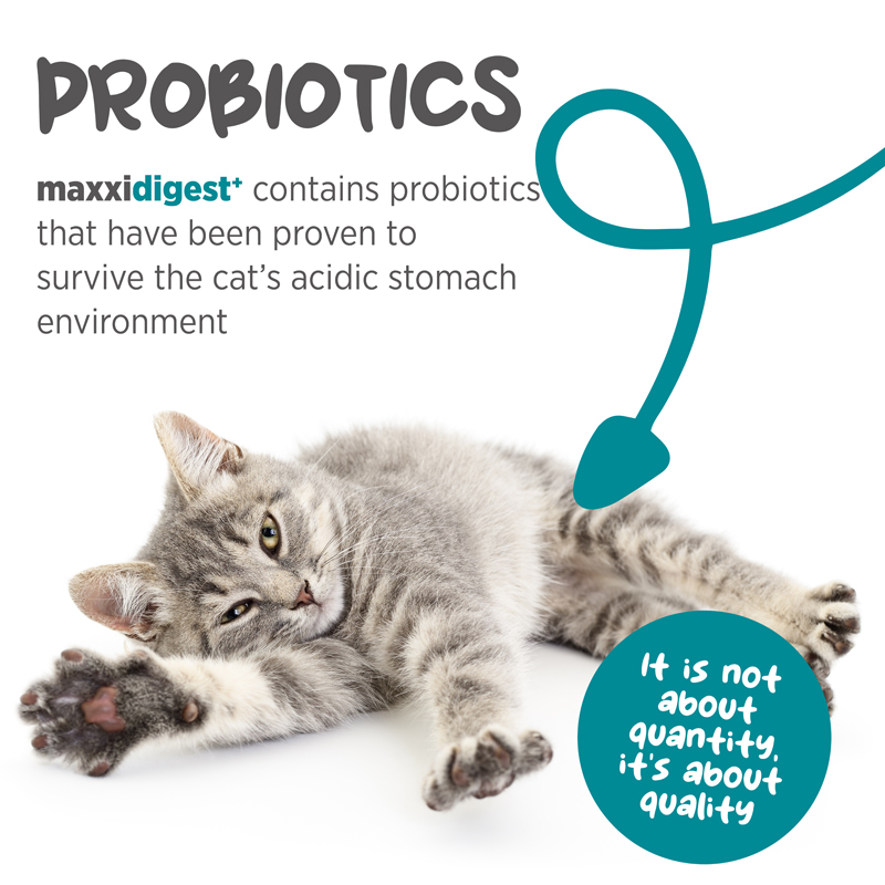 maxxidigest prebiotics for cats