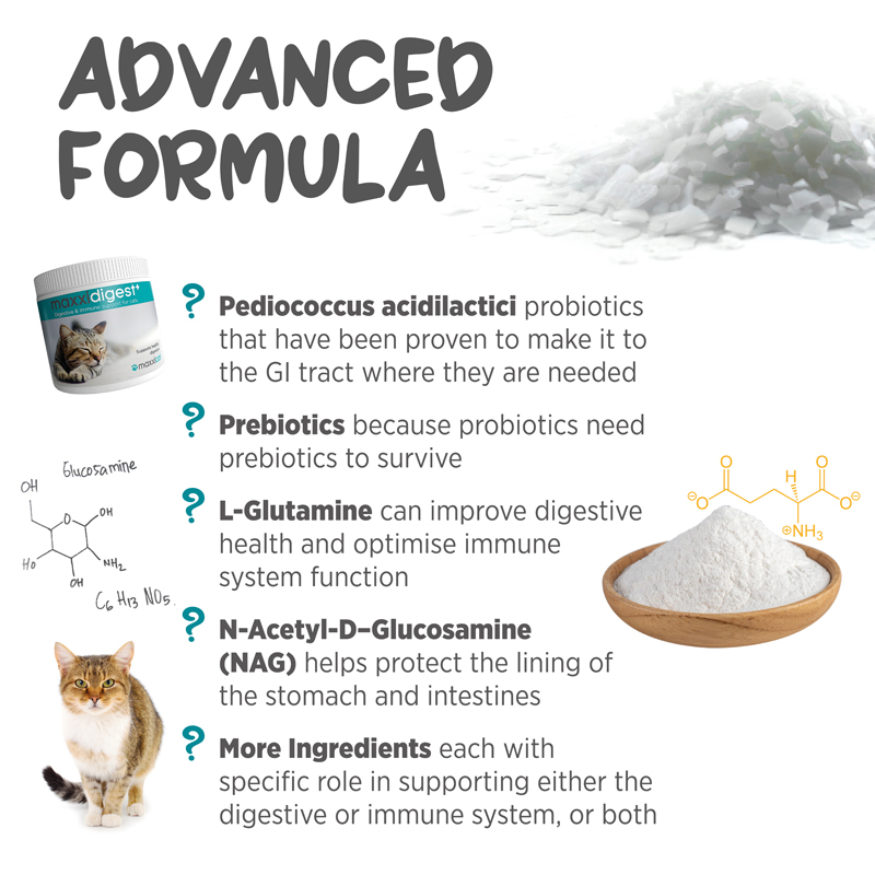 maxxidigest+ feline digestive and immune support