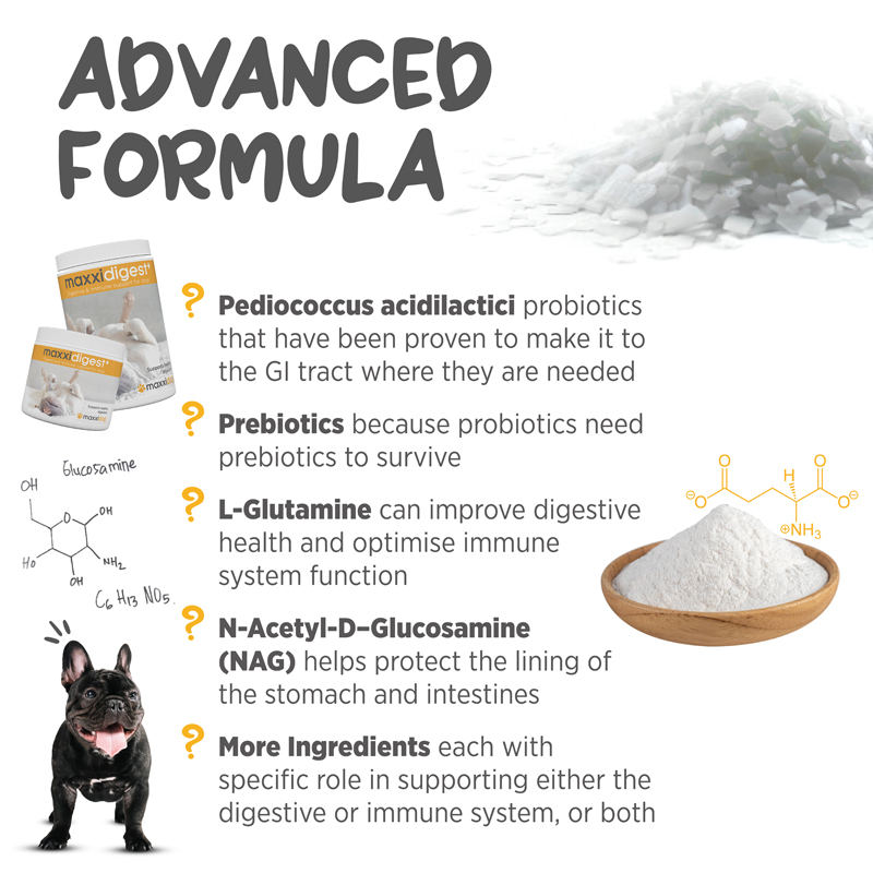 maxxidigest+ for dogs and cats
