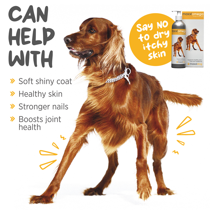 maxxiomega oil fro dogs with essential fatty acids for healthy skin and shiny coat