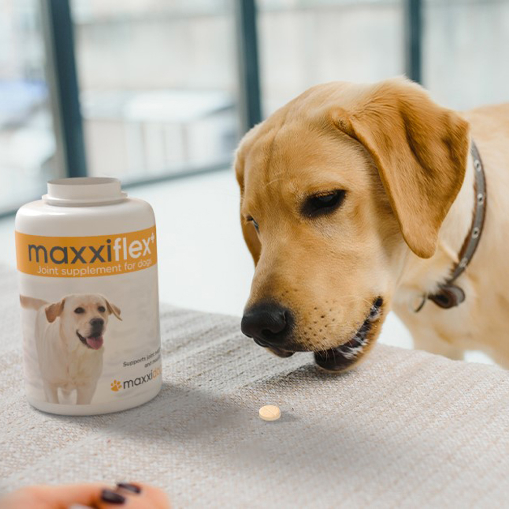 maxxiflex+ PHOTO