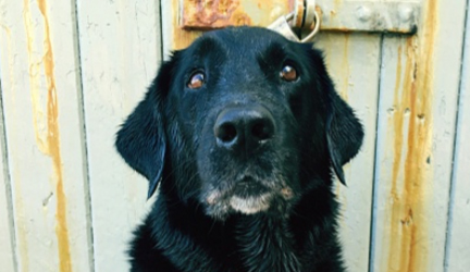 Testimonials thumbnail