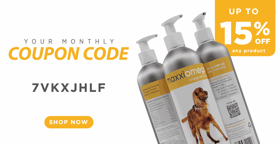 Odoo • Image and Text