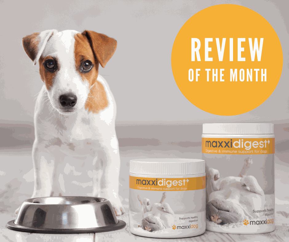 Odoo • Image and Text