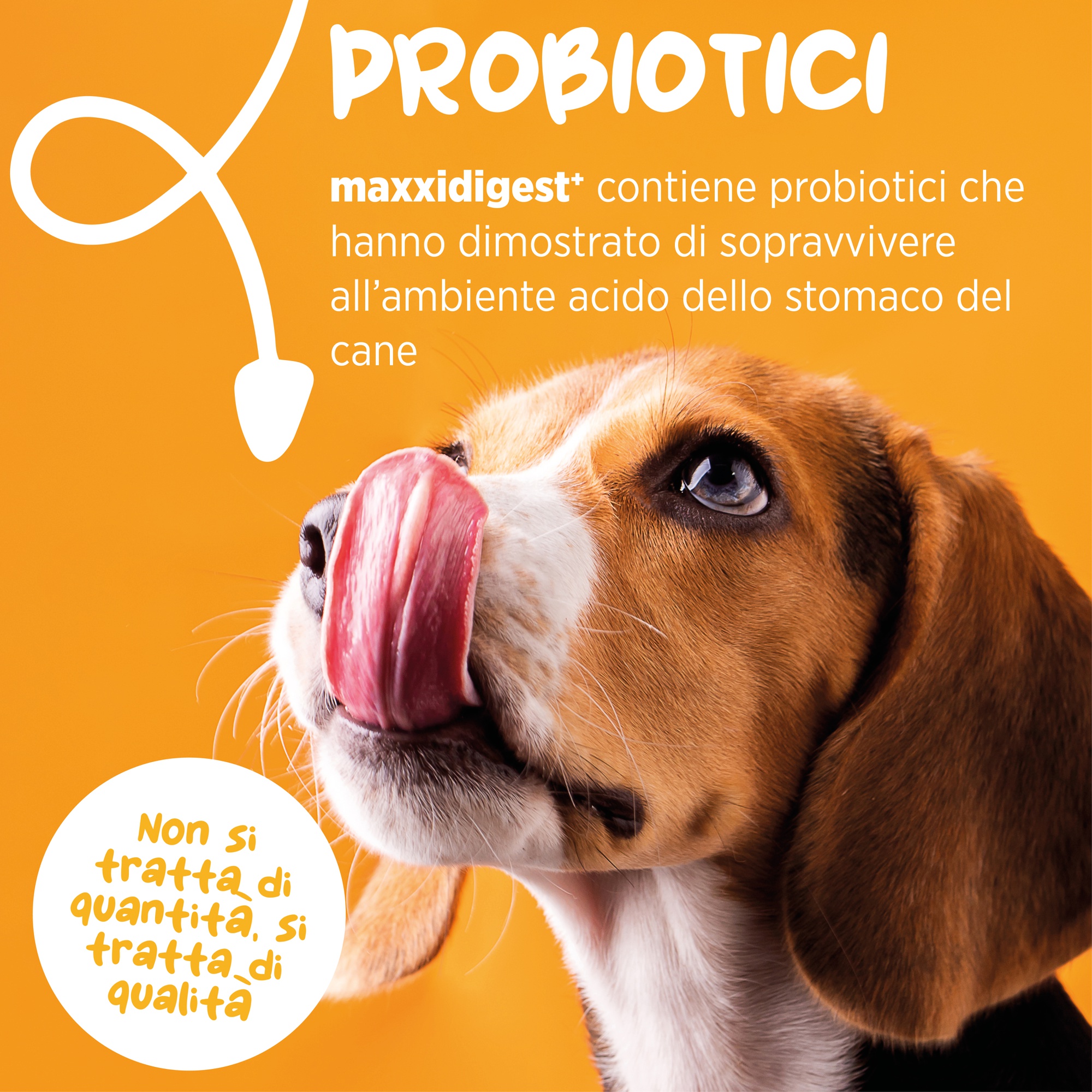 Odoo - Sample 2 for three columns