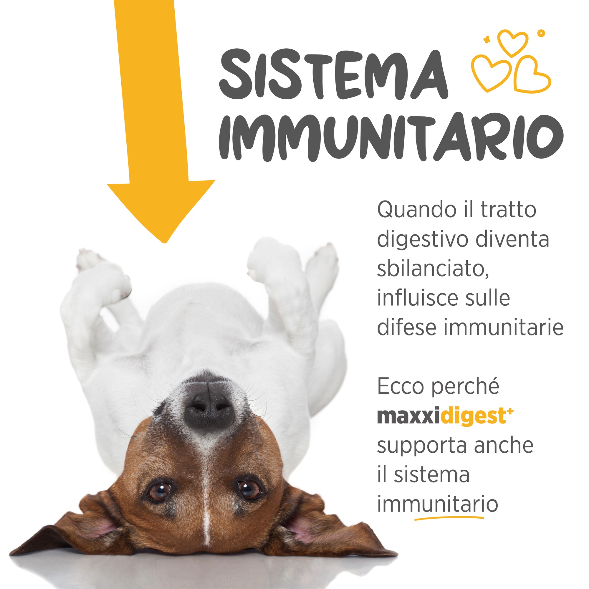 Odoo - Sample 3 for three columns