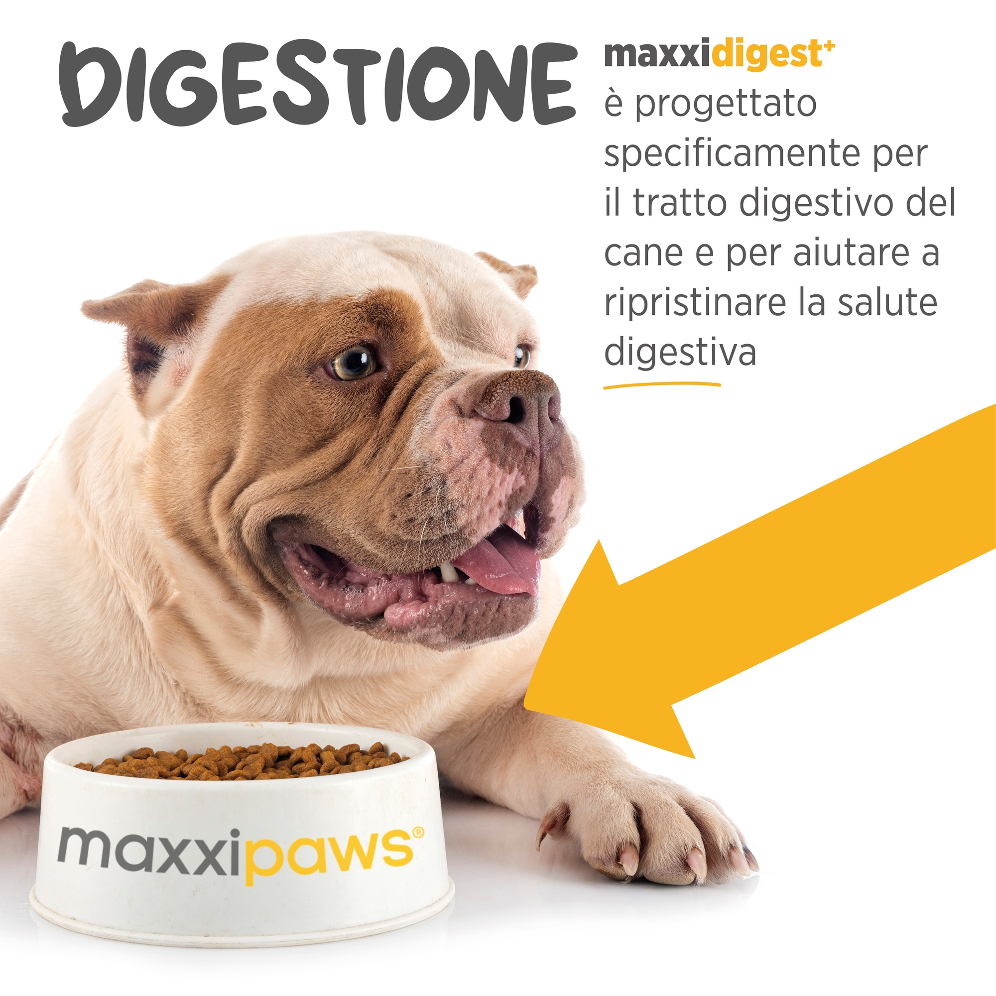 Odoo - Sample 1 for three columns