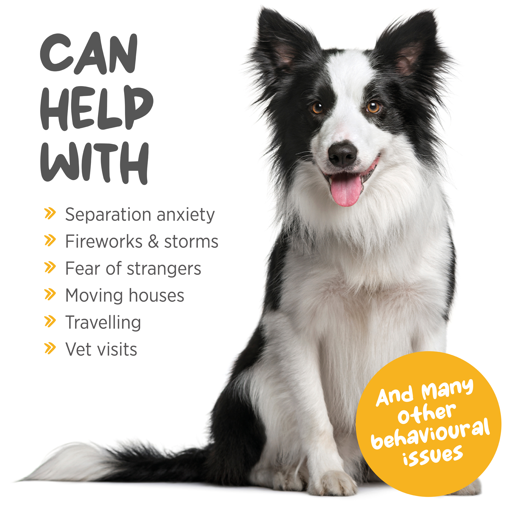 Odoo - Sample 2 for three columns