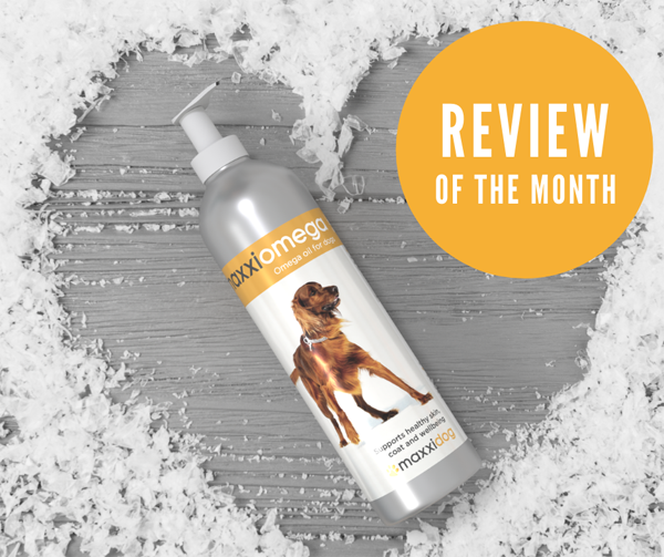 Odoo • Image and Text