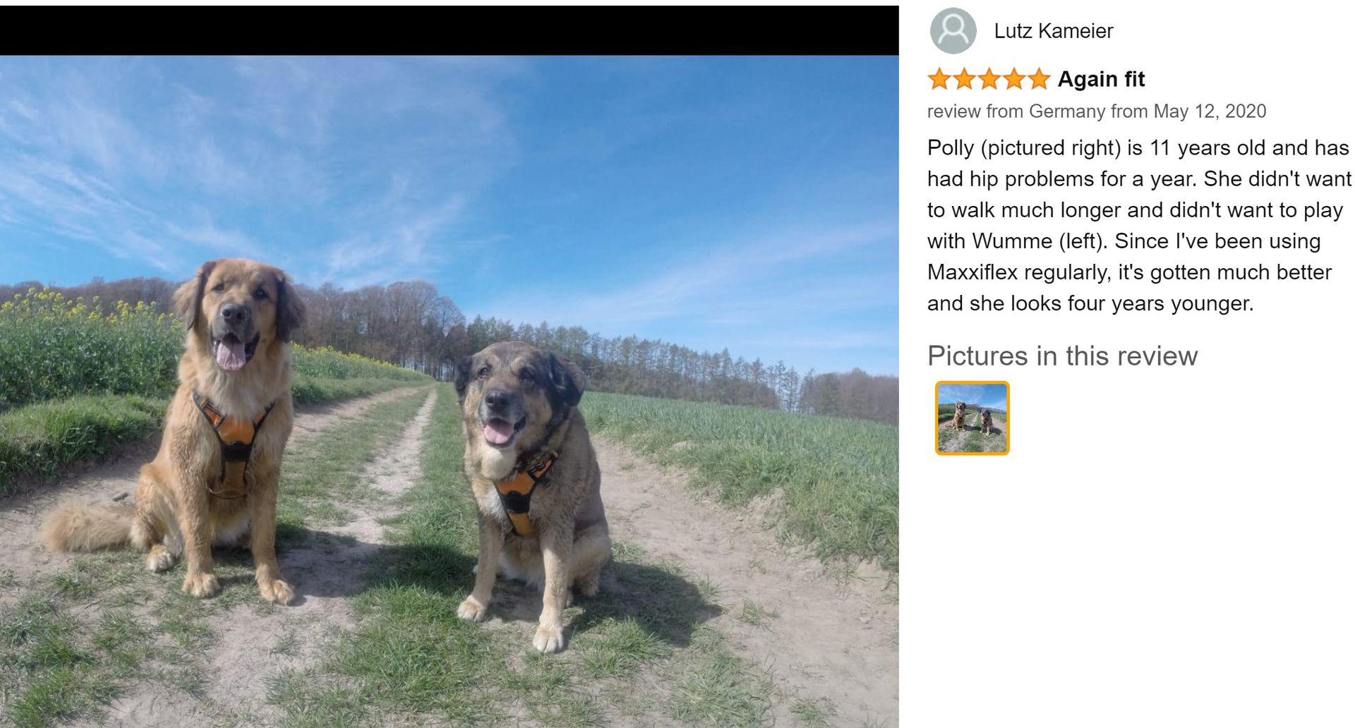 Happy maxxiflex+ customers