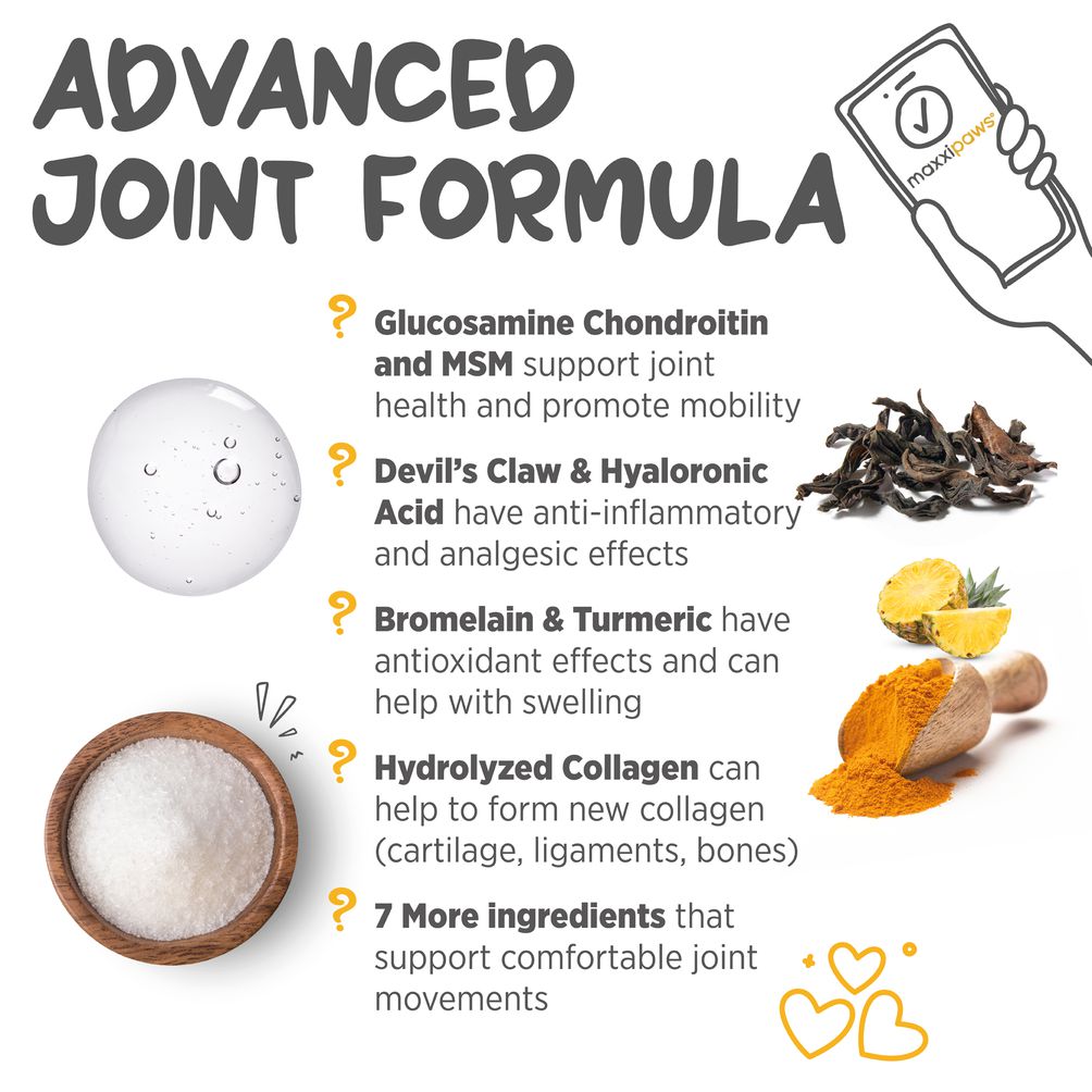 maxxiflex+ advanced ingredients