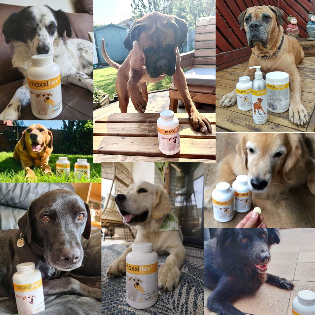 Happy maxxiflex+ customers