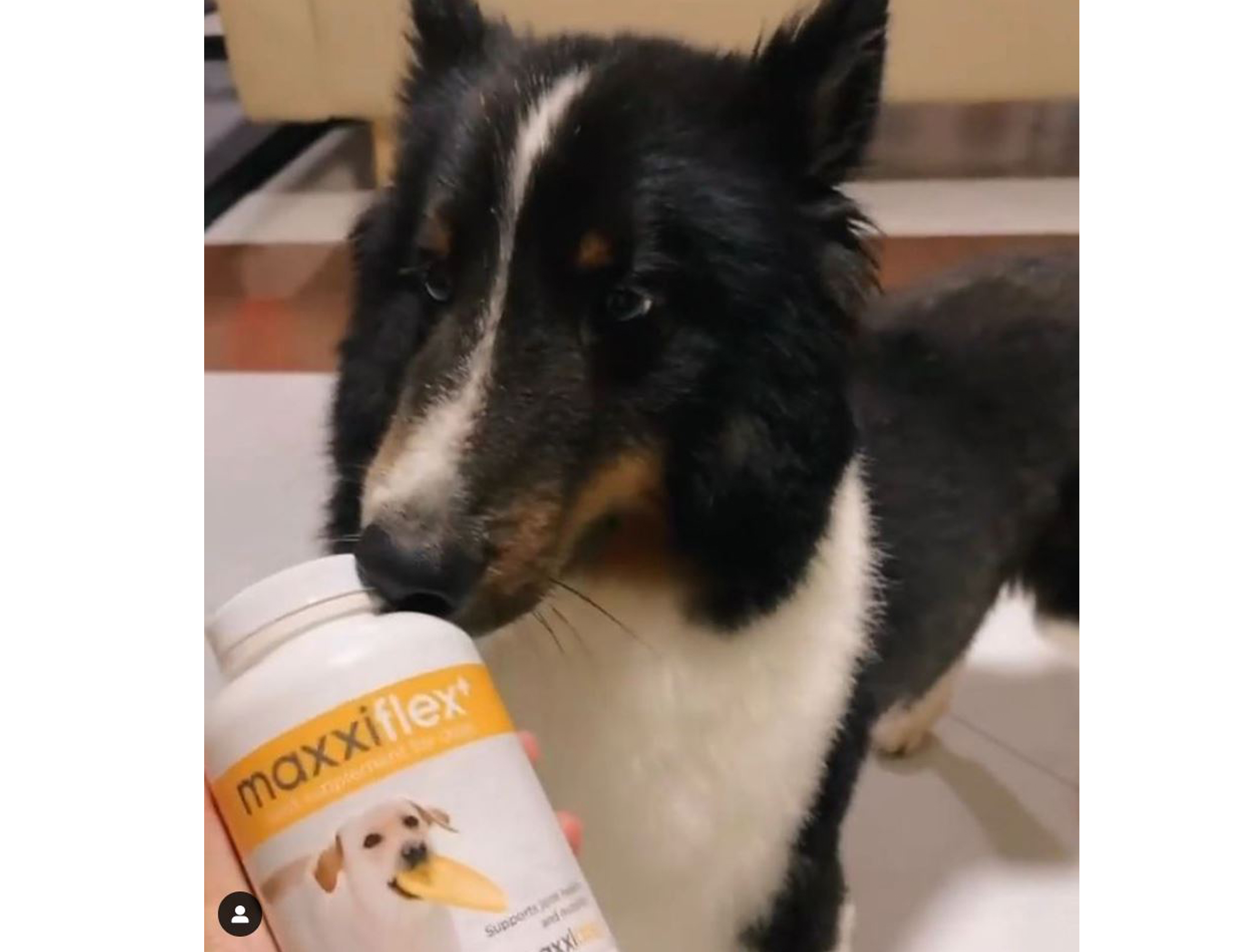 Happy maxxiflex+ customer