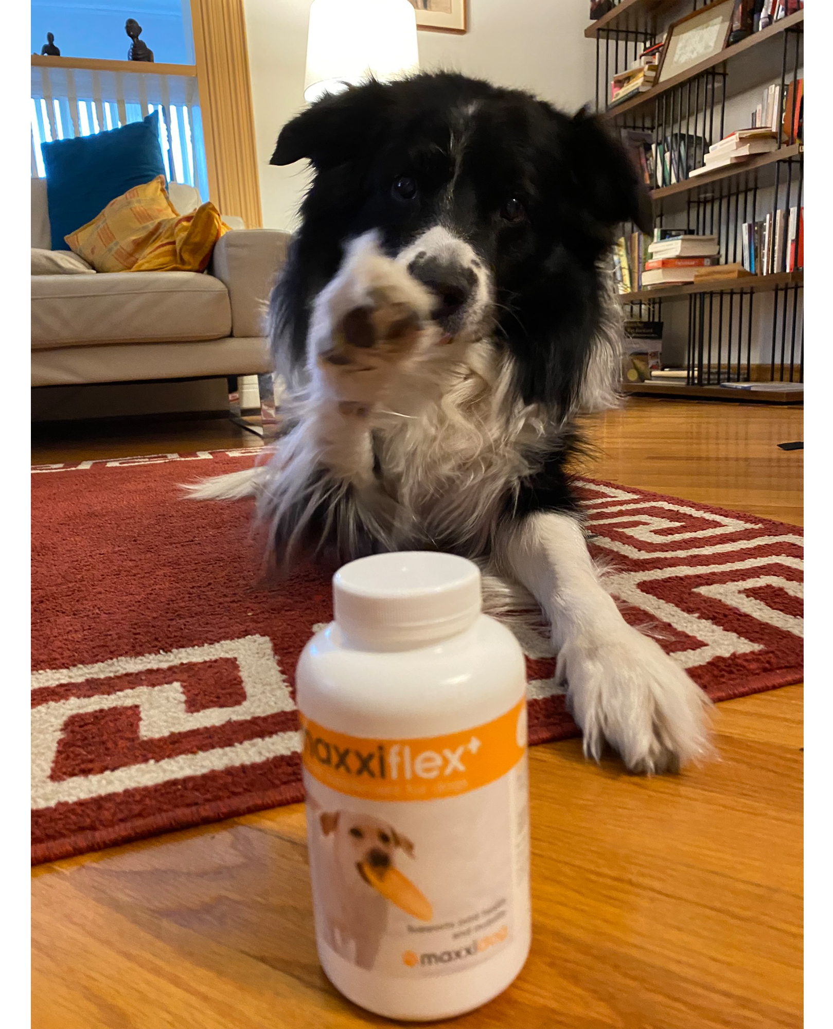 Happy maxxiflex+ customer