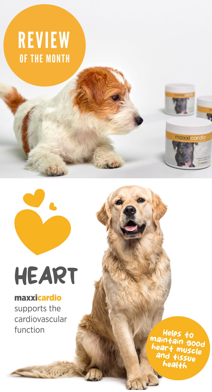 Odoo • Image and Text