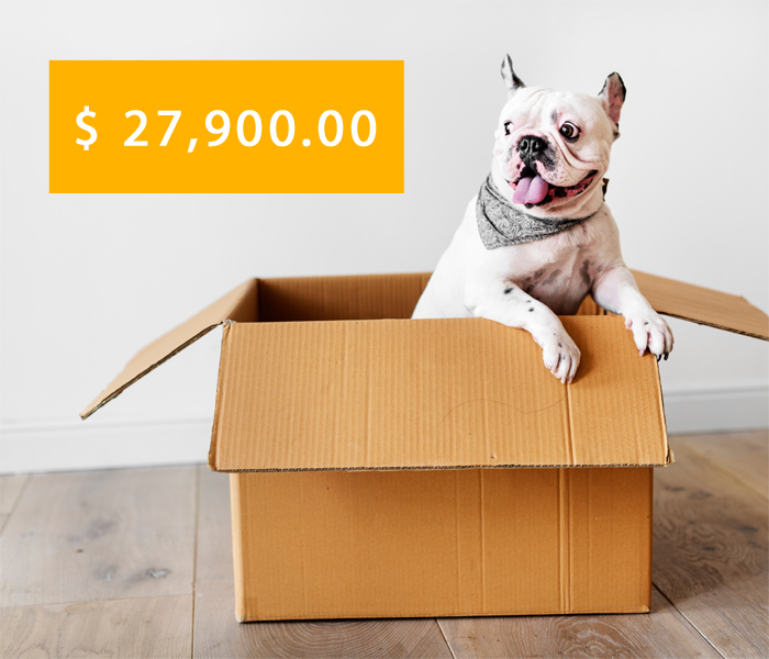 maxxiclub charity donations to date