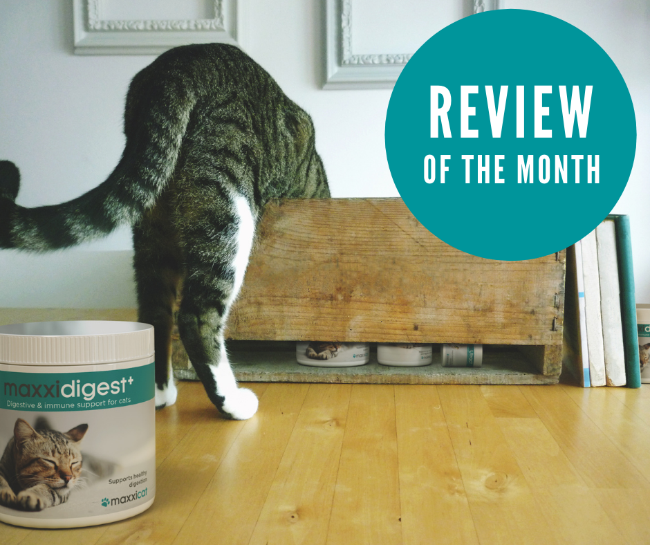 Odoo • Image and Text