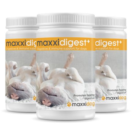 Odoo image and text block