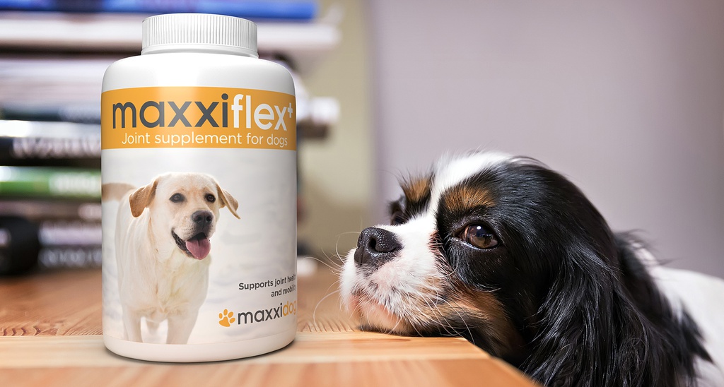 maxxiflex+ BANNER